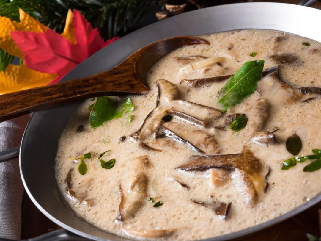 Jak zrobić sos z grzybów świeżych: prosty przepis krok po kroku